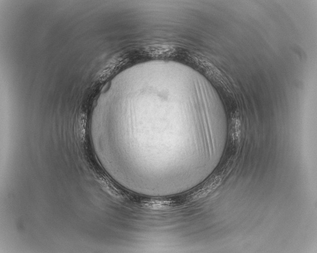 X0000115800664200912041535