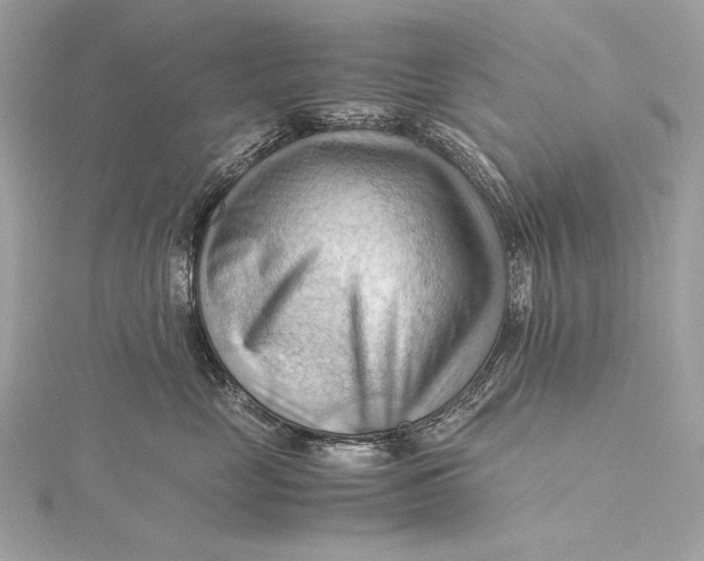 X0000115800669200912041535