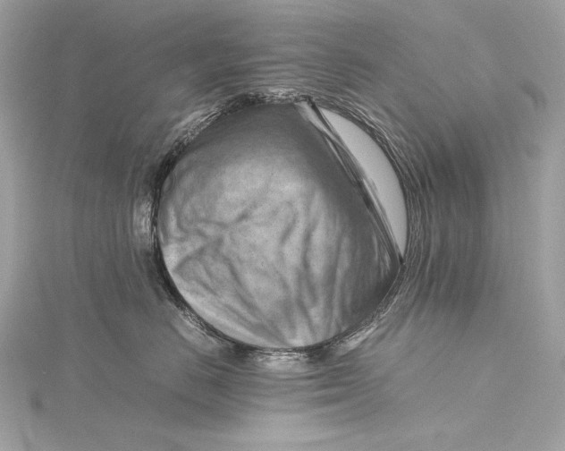 X0000115800670200912041535