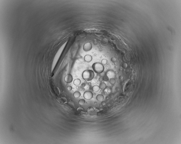 X0000115800671200912041535