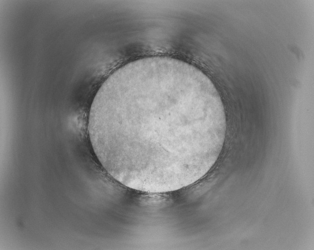 X0000115800672200912041535