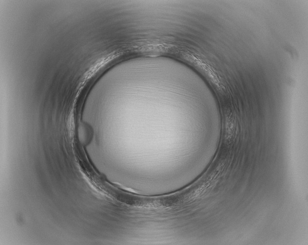 X0000115800674200912041534