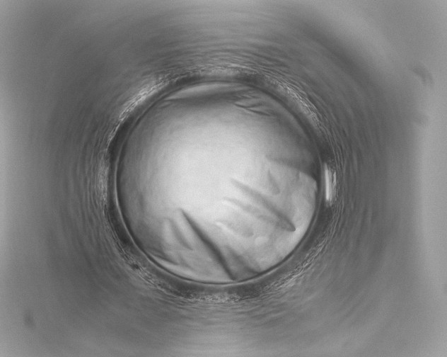 X0000115800675200912041534