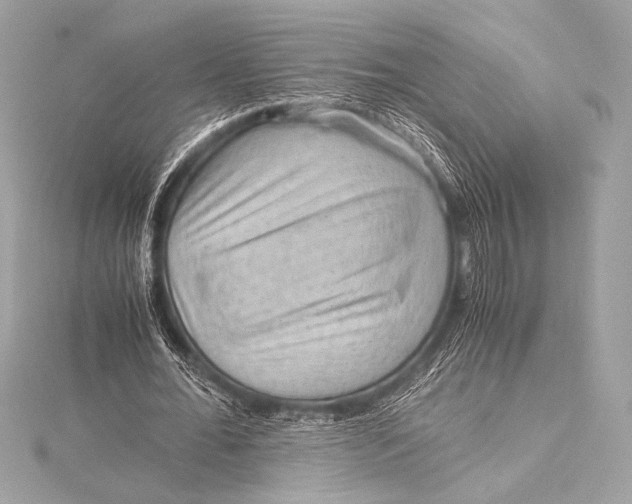 X0000115800676200912041534