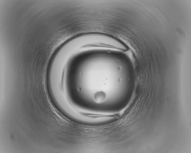 X0000115800677200912041534