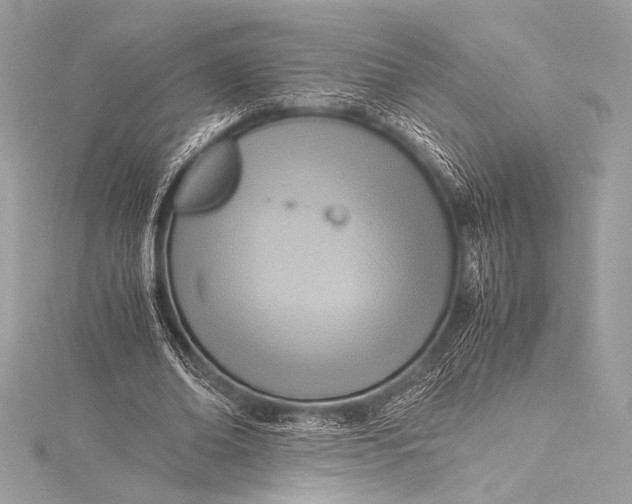 X0000115800678200912041534