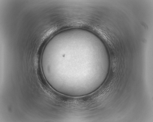 X0000115800679200912041534