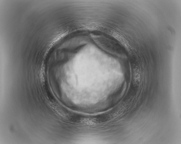 X0000115800680200912041534