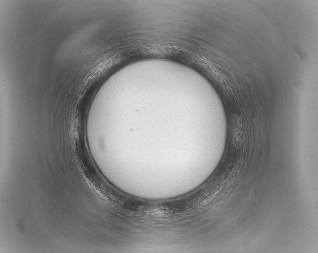 X0000115800683200912041534