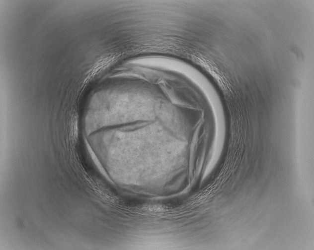 X0000115800685200912041534