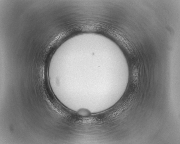 X0000115800686200912041534