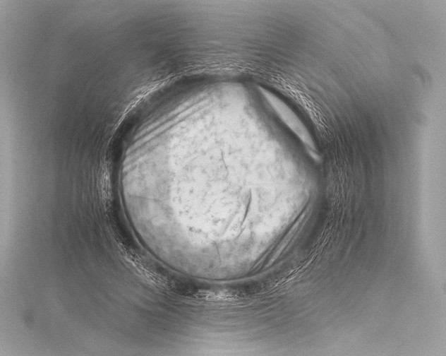 X0000115800688200912041534