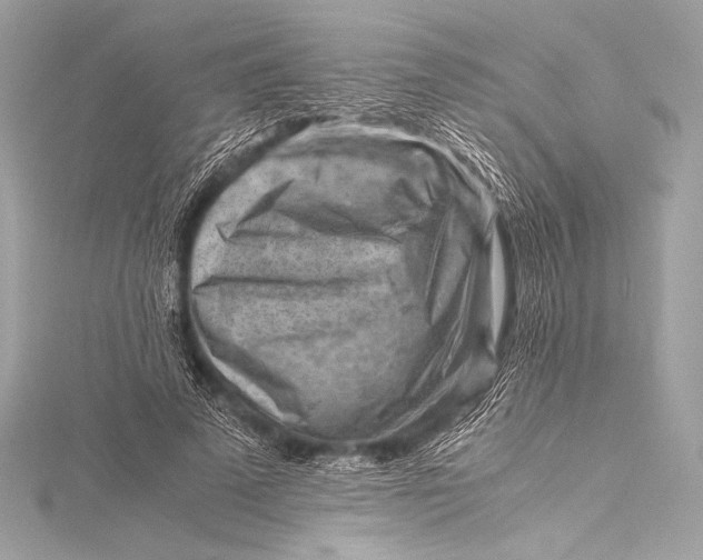 X0000115800689200912041534