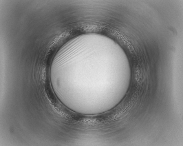 X0000115800690200912041534