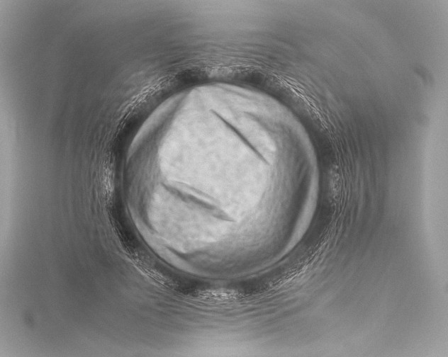 X0000115800691200912041534