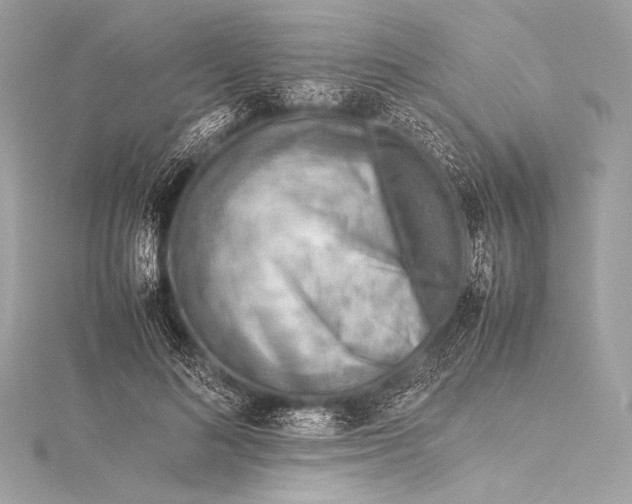 X0000115800692200912041534