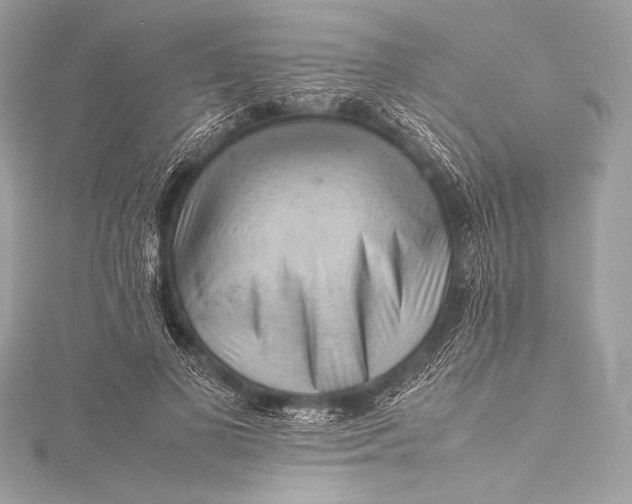 X0000115800693200912041534