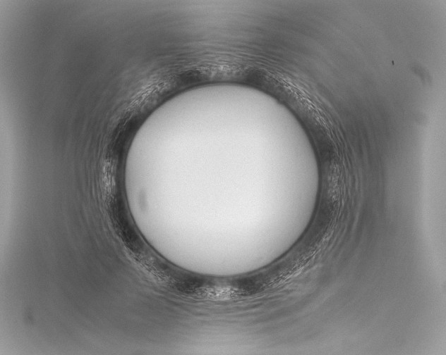 X0000115800695200912041534