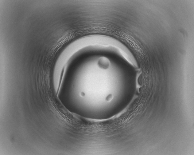 X0000115800696200912041534