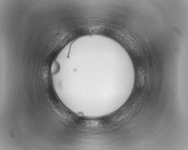 X0000115800698200912041534