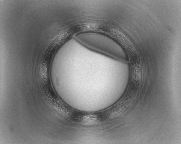 X0000115800700200912041534