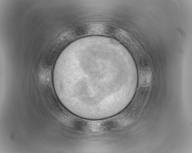 X0000115800701200912041534