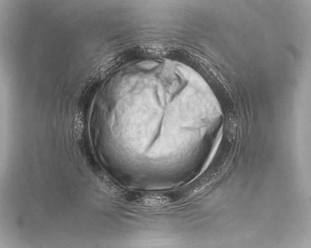 X0000115800707200912041534