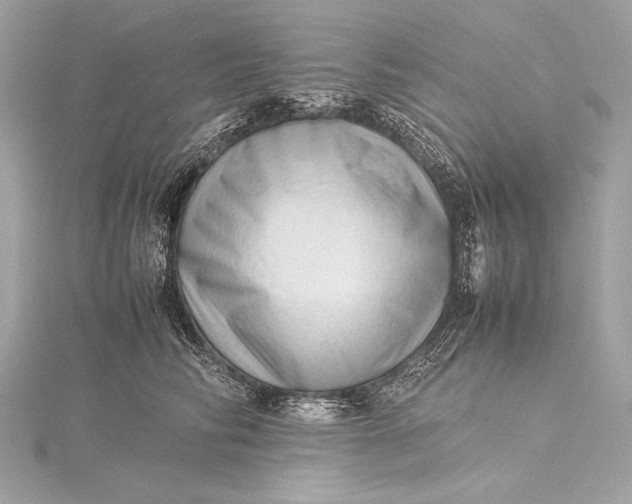 X0000115800710200912041534