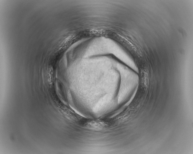 X0000115800712200912041534