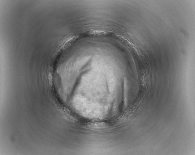 X0000115800716200912041534