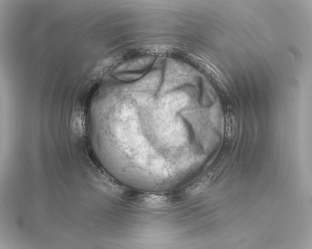 X0000115800718200912041534