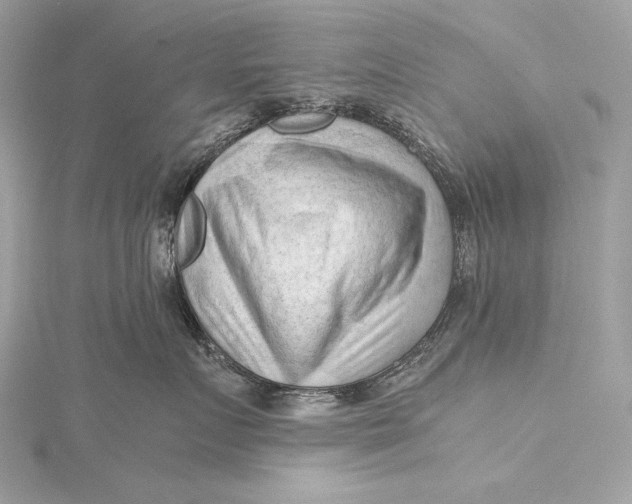 X0000115800719200912041534