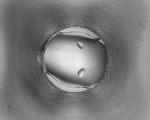 X0000115800720200912041534