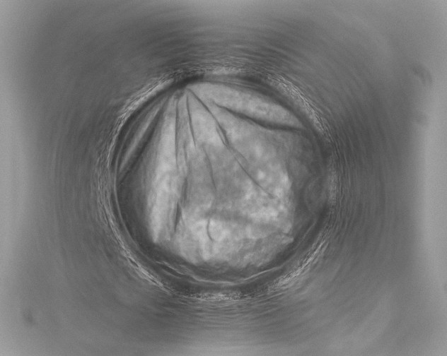 X0000115800721200912041533