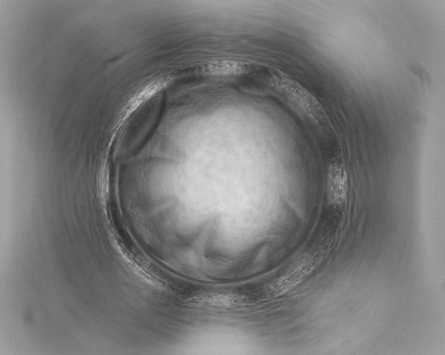 X0000115800726200912041533