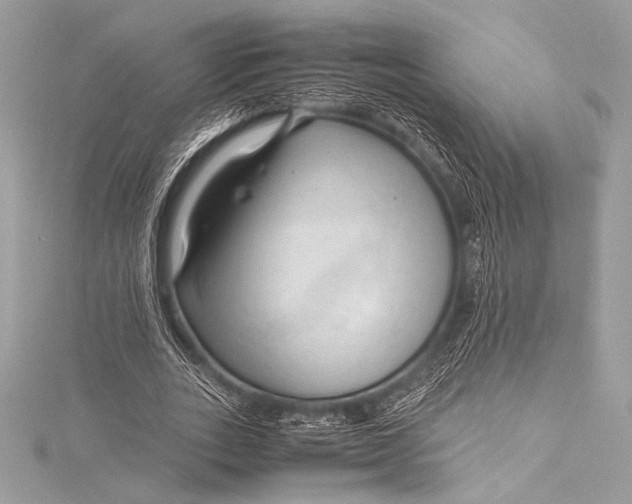 X0000115800727200912041533