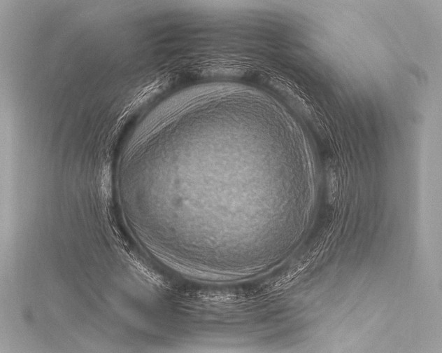 X0000115800729200912041533