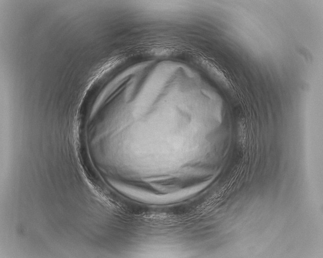 X0000115800730200912041533