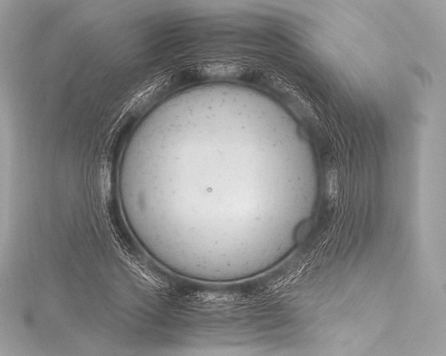 X0000115800733200912041533