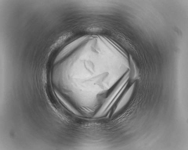 X0000115800734200912041533