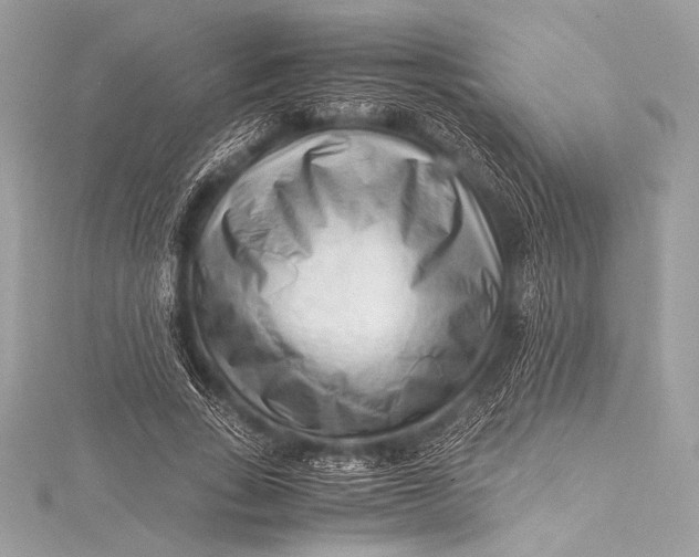 X0000115800735200912041533