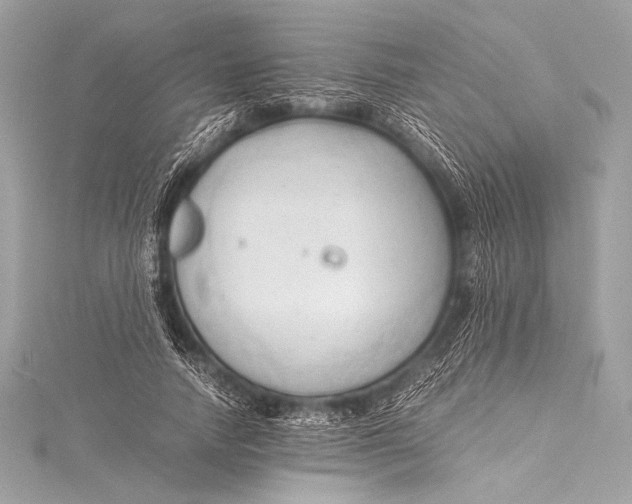 X0000115800738200912041533