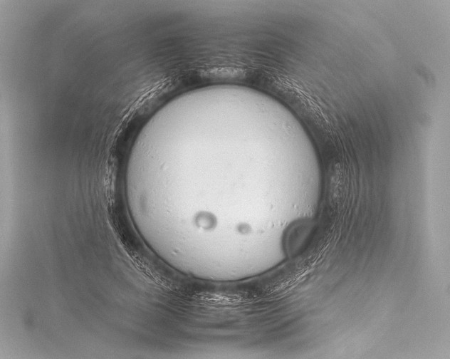 X0000115800739200912041533