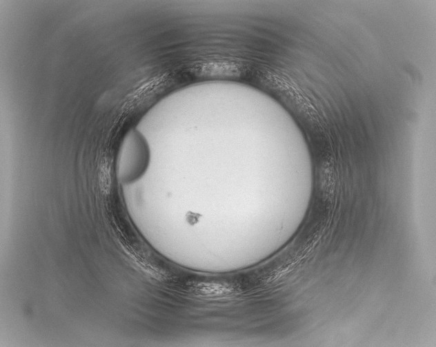 X0000115800741200912041533