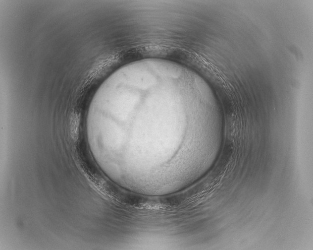 X0000115800742200912041533