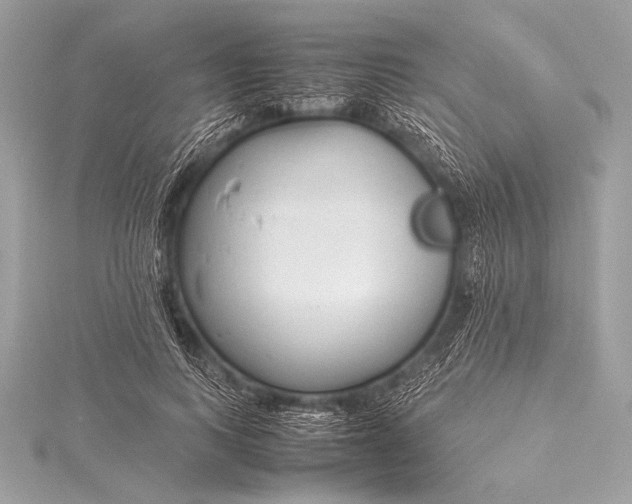 X0000115800743200912041533