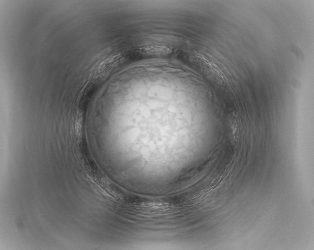 X0000115800745200912041533