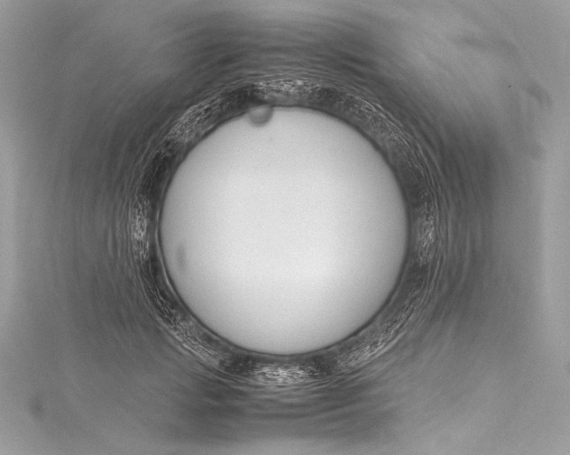 X0000115800749200912041533