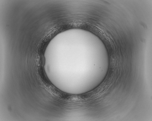 X0000115800750200912041533