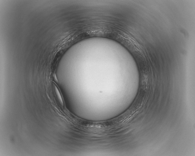 X0000115800751200912041533